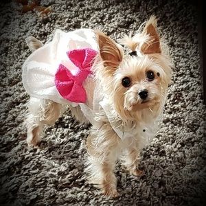 Meet your Posher, Eva